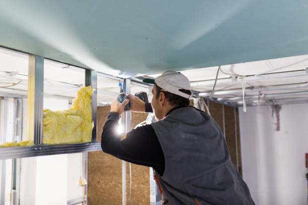 Best Attic Insulation Installation  in Rockford, MN